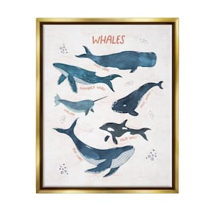 Nautical Diagram Whale Narwhal Bubbles Illustration by Nina Blue Floater Frame Animal Wall Art Print 31 in. x 25 in. .