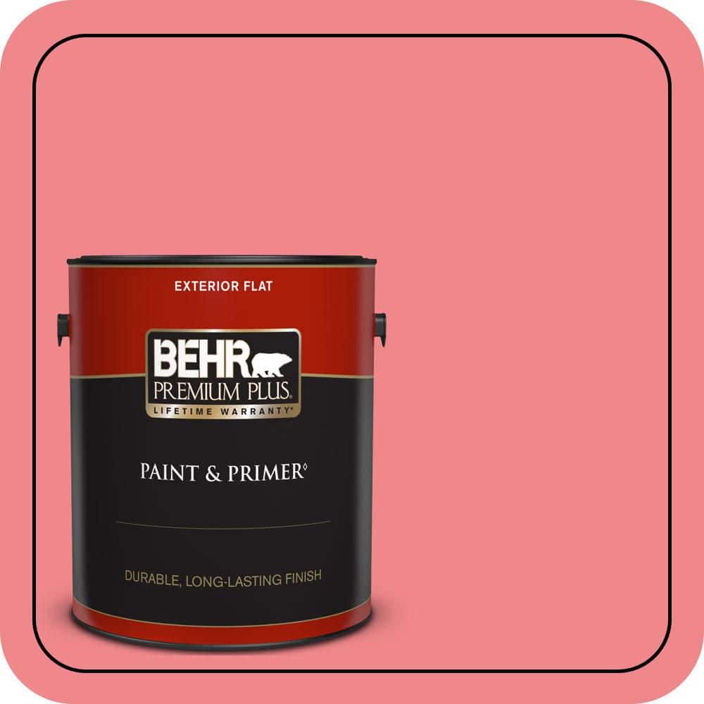 1 gal. #140B-5 Flamingo Dream Flat Exterior Paint & Primer price history on PriceWatchPro