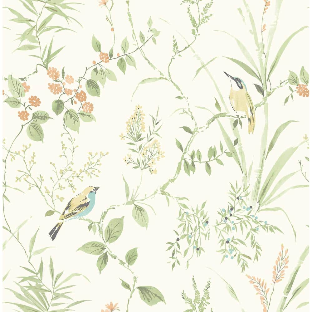 NuWallpaper Green Sage Songbird Vinyl Peel and Stick Matte Wallpaper ...