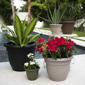 20 in. x 17 in. Black Ariana Plastic Self Watering Planter