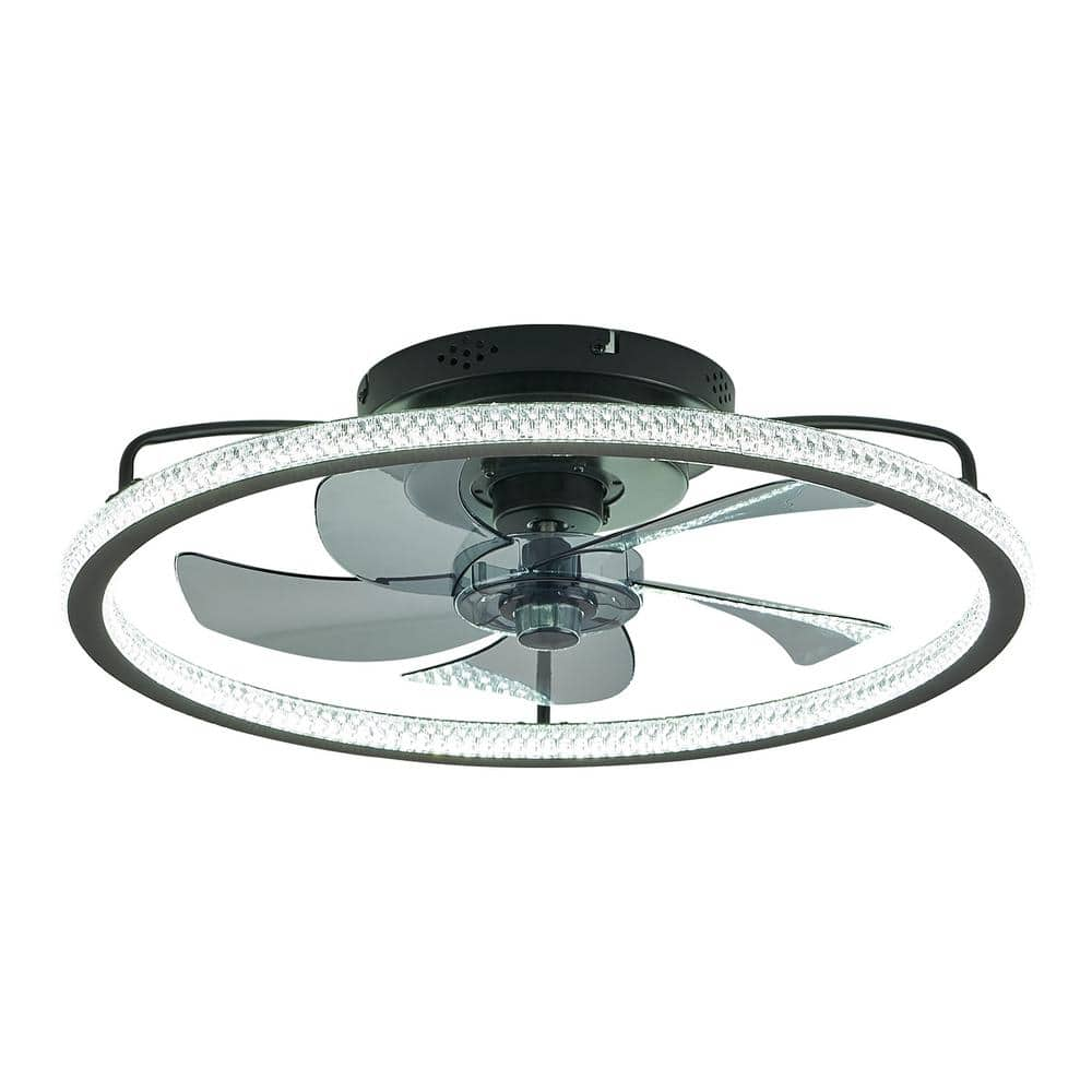 FANNEHONNE 20'' Ceiling Fans with Lights and Remote, Low