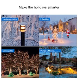 Caseta Outdoor Smart Plug On/Off Switch Holiday Light Starter Kit with Smart Hub and Remote, String Lights/Inflatables