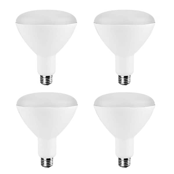 EcoSmart 65-Watt Equivalent BR30 LED Light Bulb, Soft White (4-Pack)