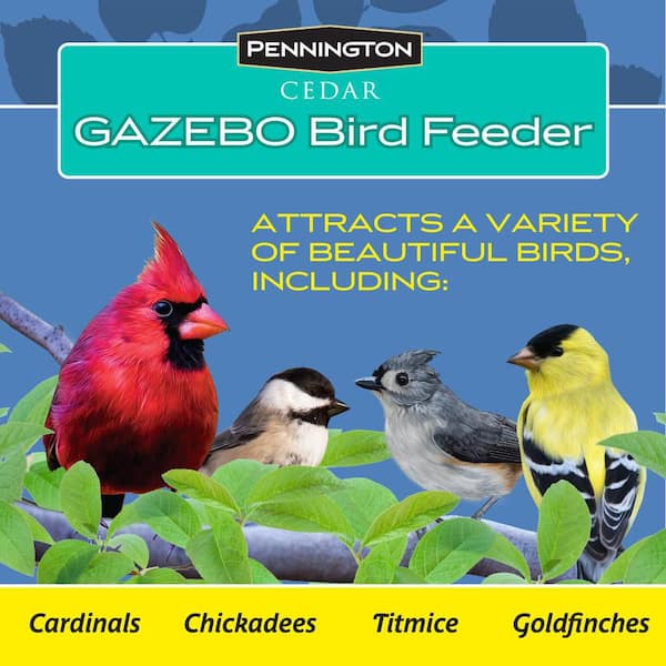 Cedar Gazebo Bird Feeder