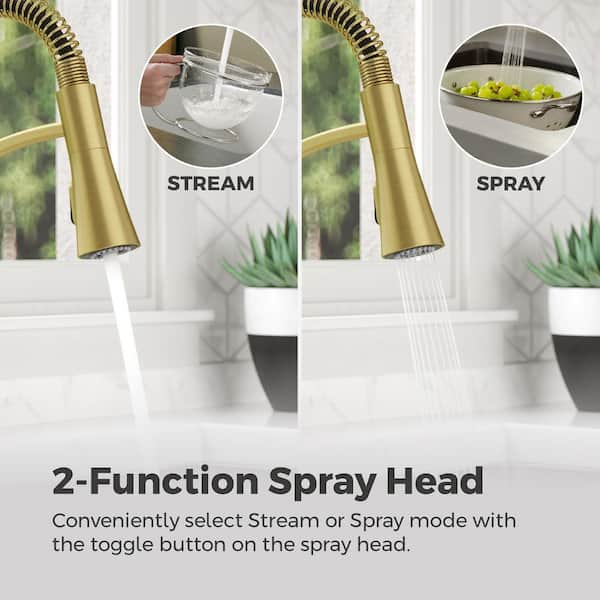 Pfister Ladera Culinary 1-Handle Pull Down Sprayer Kitchen Faucet