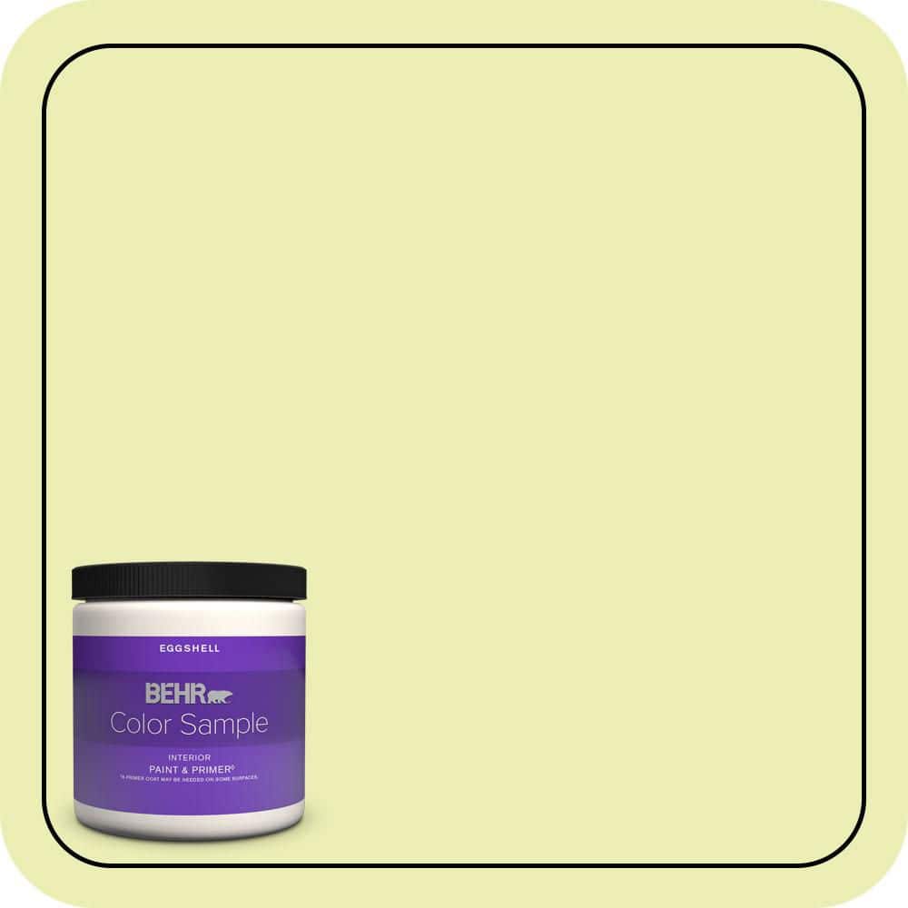 8 oz. #410A-2 Cabbage Green Eggshell Enamel Interior Paint & Primer Color Sample price history on PriceWatchPro