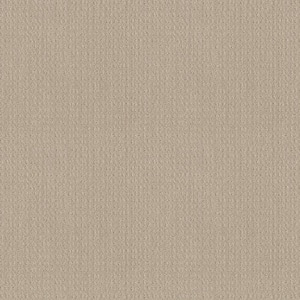 Boxton - Divine - Beige 32.7 oz. Nylon Pattern Installed Carpet