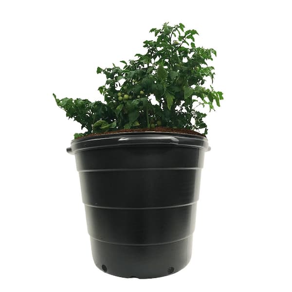mini plant pots Ceramic Flower Pot with Drainage and Bamboo Tray