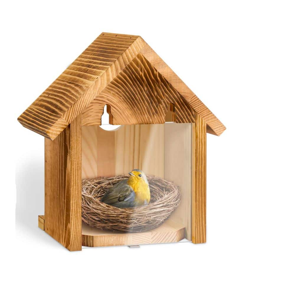 case study shop ウッドバード SINDEE WOOD BIRD Coveside Conservation 11.75-in H Natural Wood Chickadees Bird