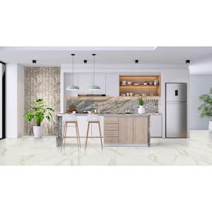 Ader Calacatta 24 in. x 24 in. Polished Porcelain Floor and Wall Tile (16 sq. ft./Case)