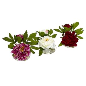 Indoor 6in. Artificial H Assorted Peony with Glass Vase (Set of 3)