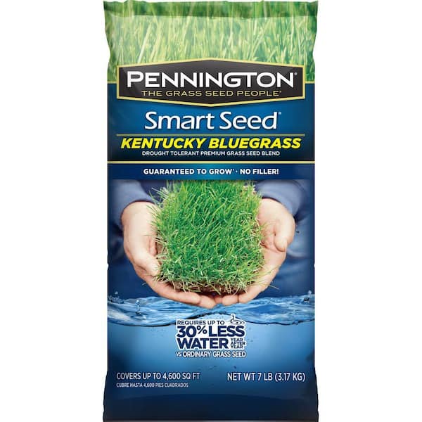 Pennington Smart Seed 7 lb. Kentucky Bluegrass Grass Seed Blend
