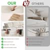 Infographic comparing sofa features and dimensions.
