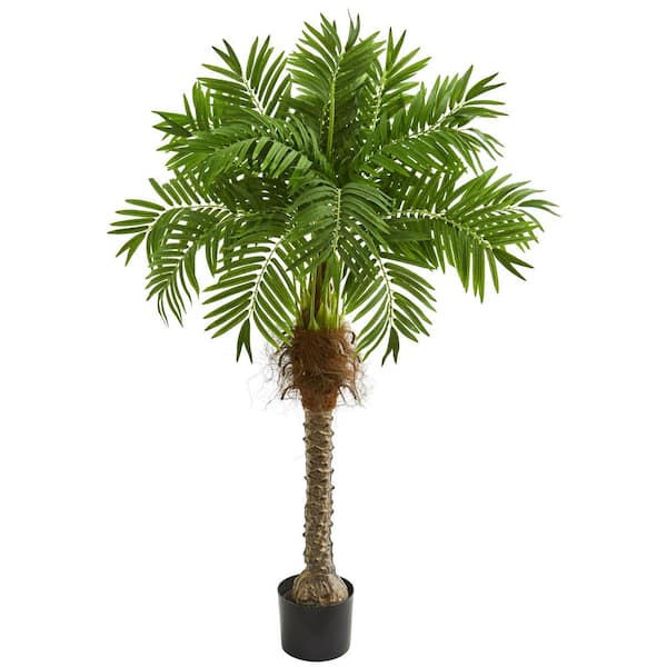 Nearly Natural Indoor 58 Robellini Palm Artificial Tree