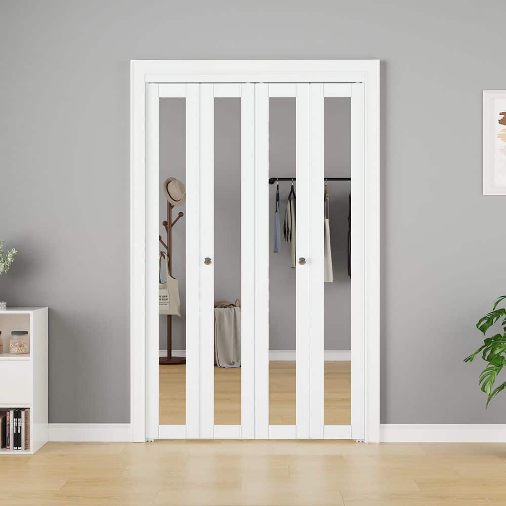 EH PUERTA 48 in. x 96 in. 1-Lite Mirrored Glass and Solid Core
