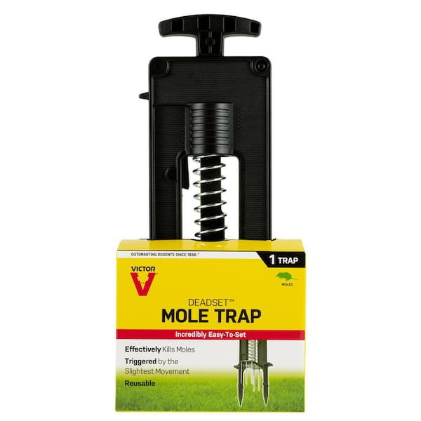 The Victor OUT O' SIGHT Mole Trap In Action. 