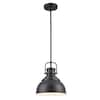 Home Decorators Collection Shelston 10 in. 1-Light Black Farmhouse ...