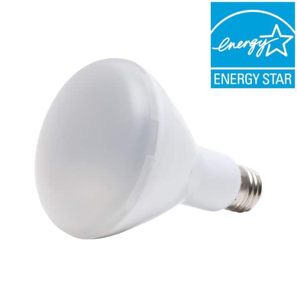 EcoSmart 65W Equivalent BR30 Bright White LED Light Bulb