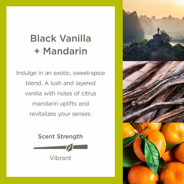 Enviroscent Black Vanilla Plus Mandarin Scent Auto Vent Clip 2pk  08616-002-HD - The Home Depot