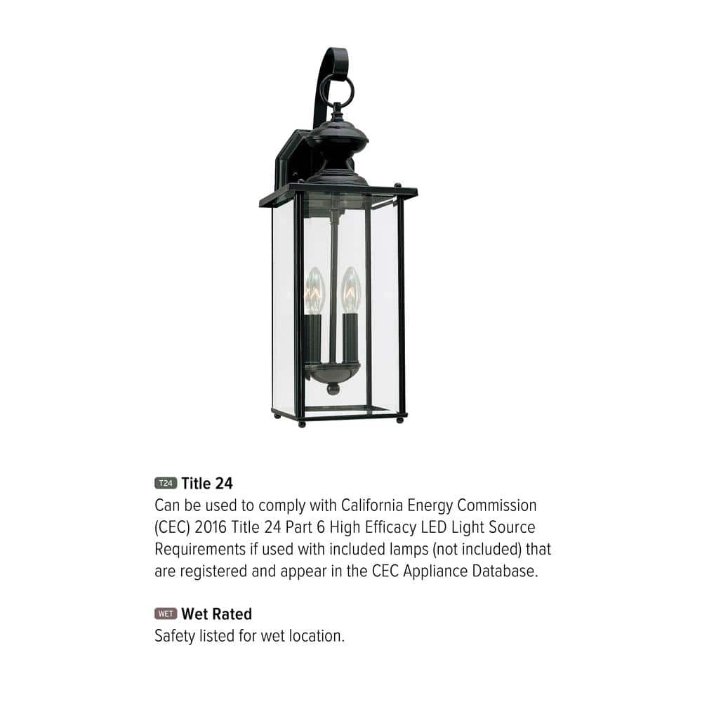 Black 20.25 Inch 2-Light Outdoor Wall Lantern with Clear Glass