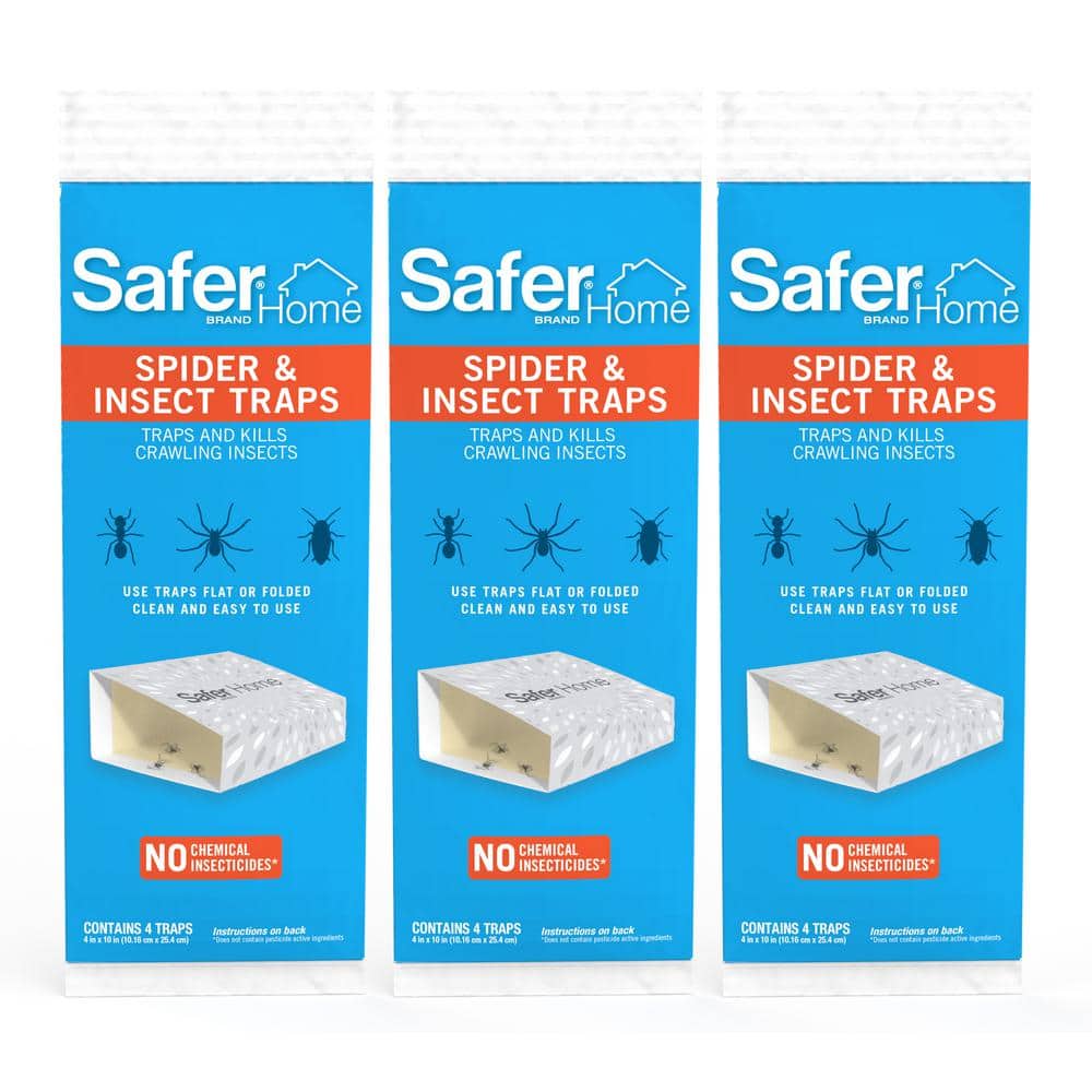 Safer Home Indoor Flying Insect Trap for Fruit Flies, Gnats, Moths, House  Flies (1 Plug-In Base and 2 Refill Glue Cards)