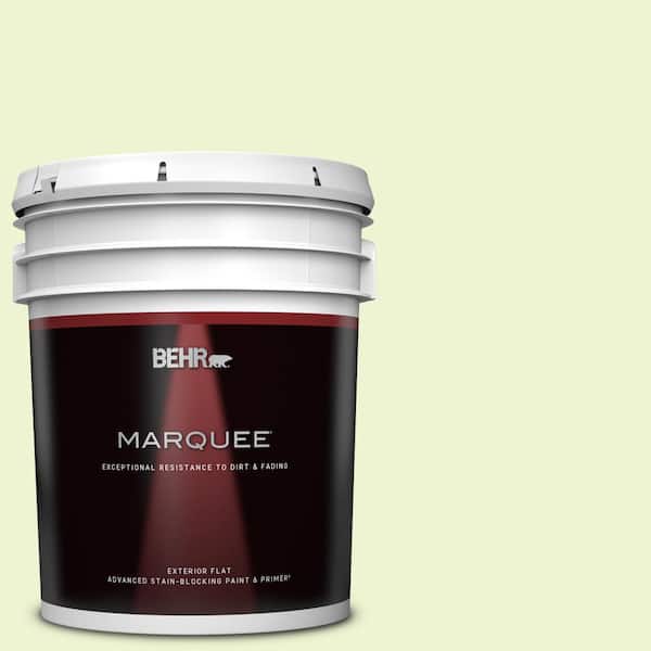 BEHR MARQUEE 5 gal. #420A-1 Green Shimmer Flat Exterior Paint & Primer