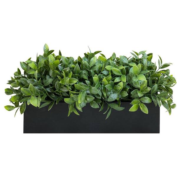 Rectangular Boxwood 14 in. Artificial Boxwood Plants in Black Rectangular Wood Planter ...