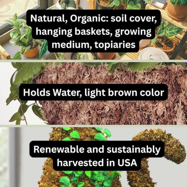 432 cu. in. Sphagnum Moss