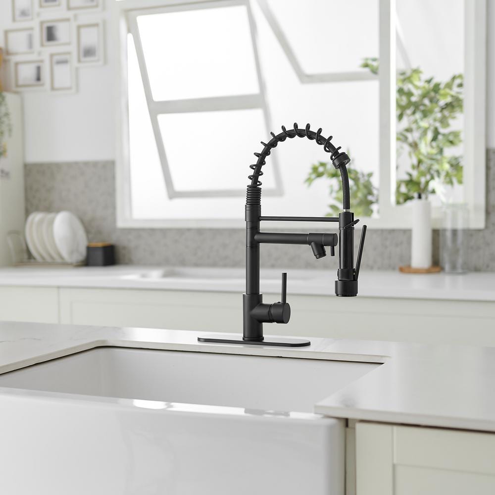 Matte Black High-Arc Kitchen Faucet with Pull-Out Spray