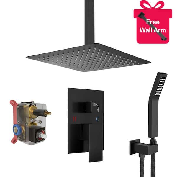 waterpar 1-spray 10 in. Ceiling Mount Dual Shower Head with Wall Mount Arm Fixed and Handheld Shower Head 2.5 GPM in Black