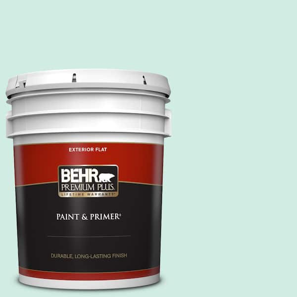 BEHR PREMIUM PLUS 5 gal. Home Decorators Collection #HDC-MD-19 Soft Mint Flat Exterior Paint & Primer