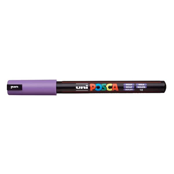 Tooli-Art Acrylic Paint Pens 22 Set Pro Color Series Blue & Purple Extra