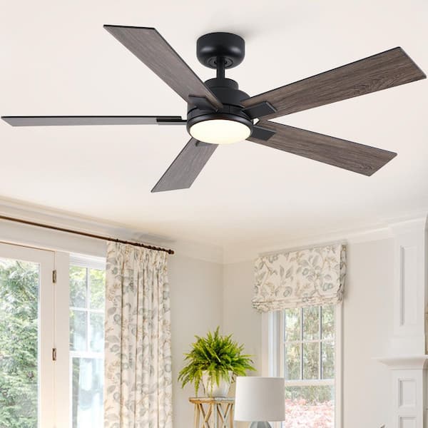 Cirrus 52 in. Black Downrod Standard Ceiling Fan with Light, Remote Control Included and Plywood Blades