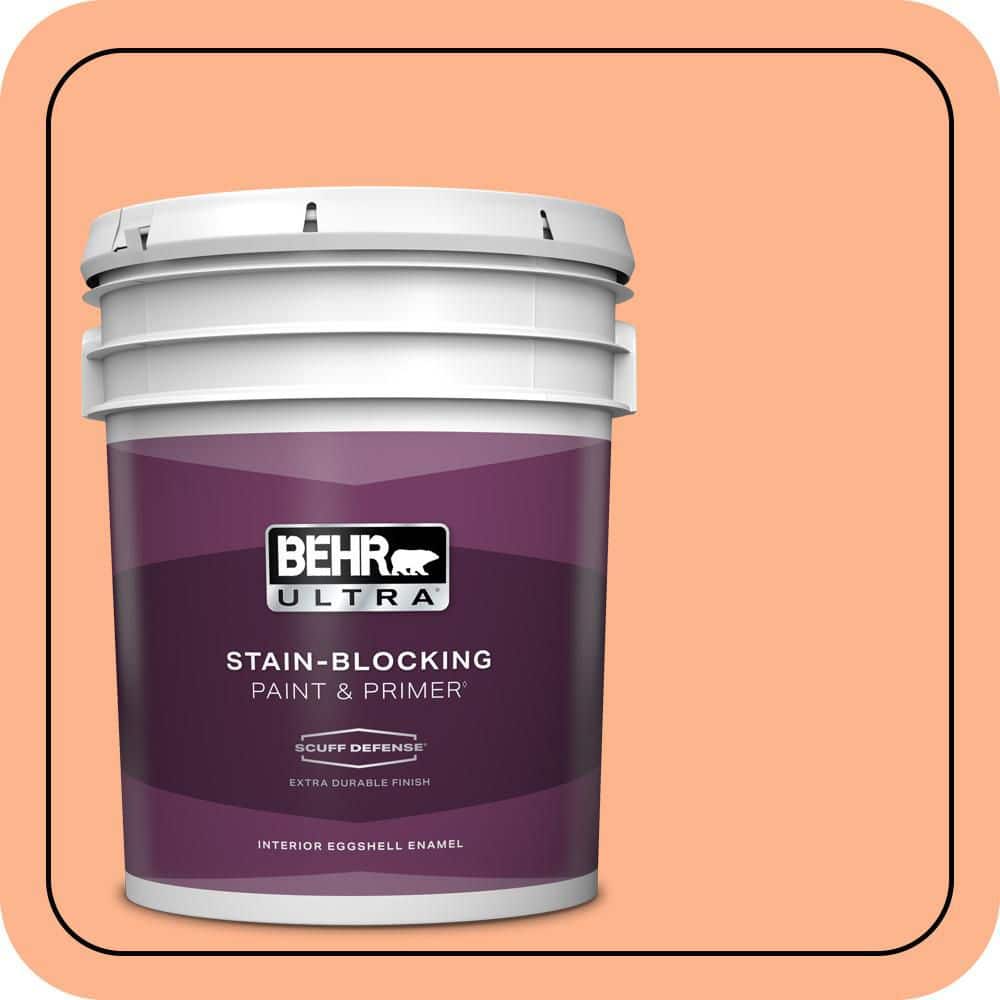 5 gal. #230B-4 Desert Sunrise Extra Durable Eggshell Enamel Interior Paint & Primer price history on PriceWatchPro