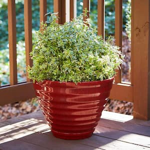 Beehive Large 16 in. x 12.3 in. Red High Density Resin Planter with Saucer