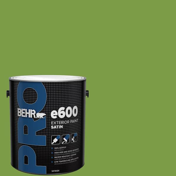 1 gal. #420B-7 Pepper Grass Satin Exterior Paint