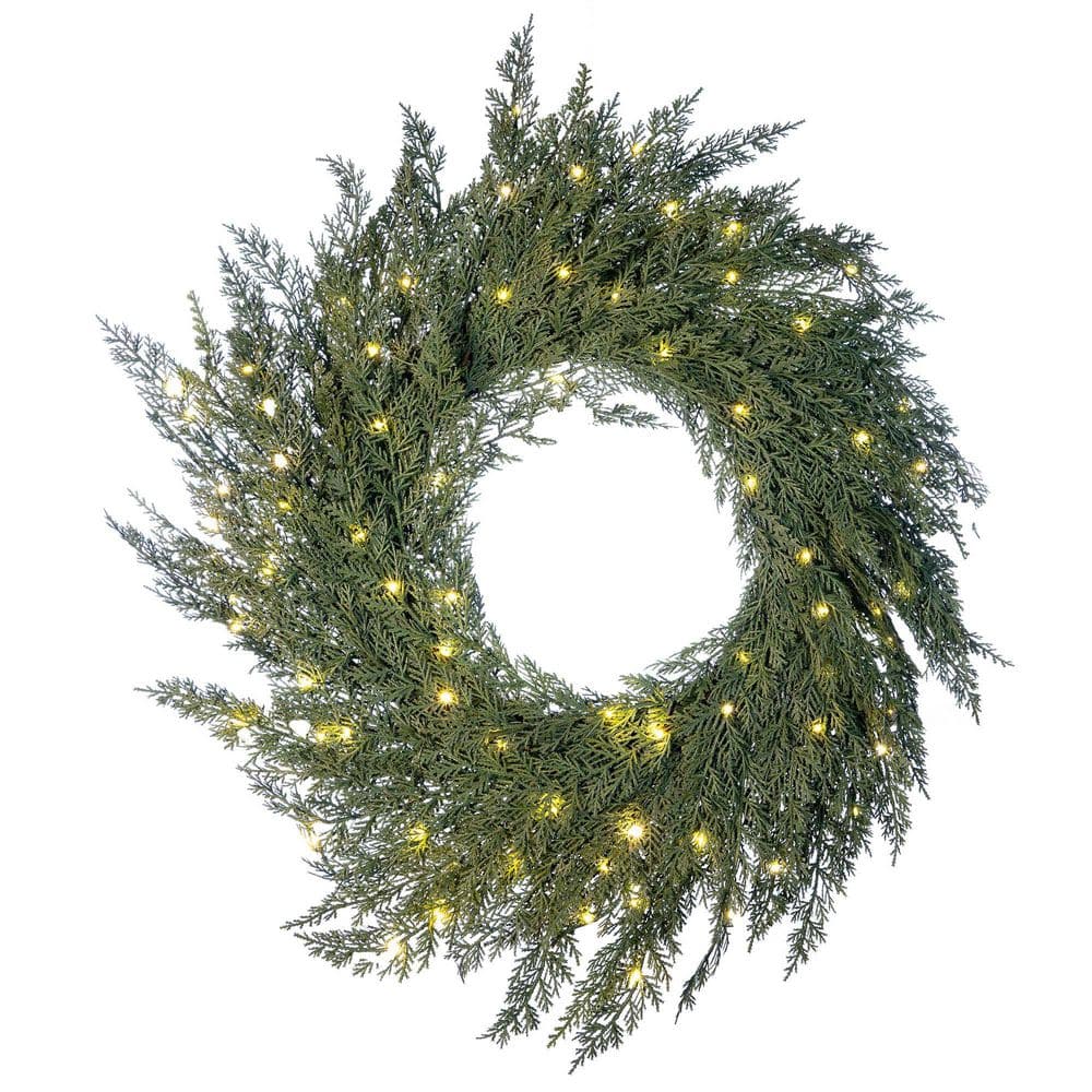 Village Lighting Company 24 in. Green Battery Operated Pre-Lit LED ...