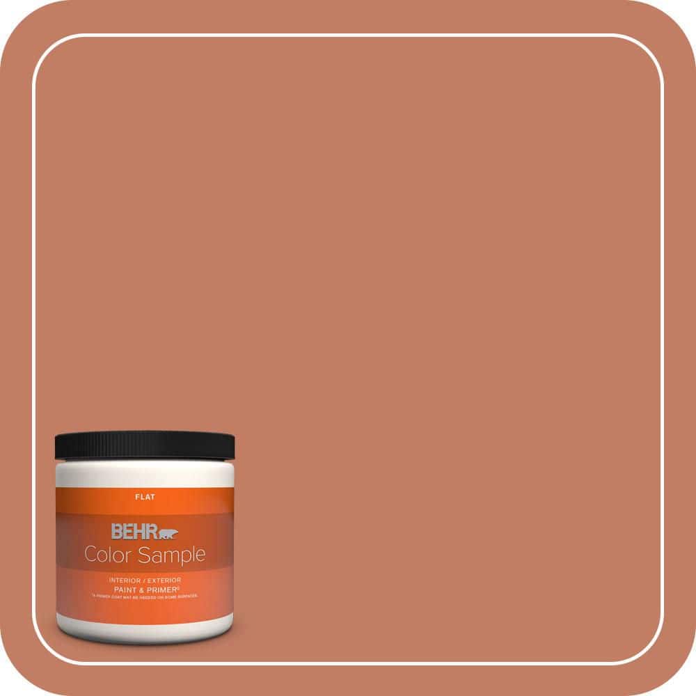 8 oz. #220D-6 Miami Spice Flat Interior/Exterior Paint & Primer Color Sample price history on PriceWatchPro