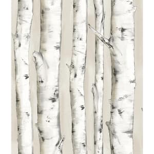 Pioneer Off-White Birch Tree Paper Strippable Roll (Covers 56.4 sq. ft.)