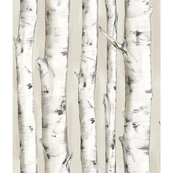 Chesapeake Pioneer Off White Birch Tree Paper Strippable Roll Covers 56 4 Sq Ft 3118 12601 The Home Depot - Irvin Grey Birch Tree Wallpaper