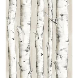 Pioneer Off-White Birch Tree Off-White Wallpaper Sample