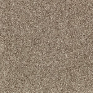 Denfort - Homestead-Brown 70 oz. Triexta PET Texture Installed Carpet