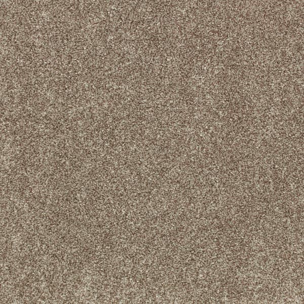 Denfort - Homestead-Brown 70 oz. Triexta PET Texture Installed Carpet