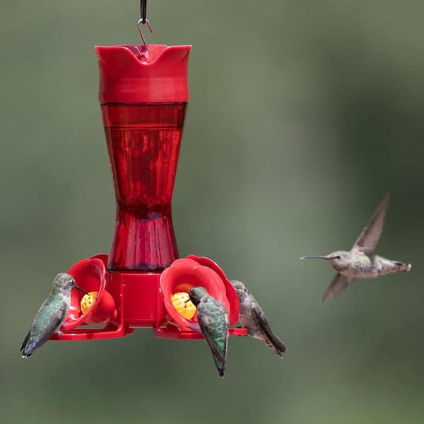 Coppe Ain Chain Hummingbid And Flowe – 8-ft