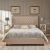 Noble House Light Gray Fully Upholstered Queen Bed Set 12334 - The