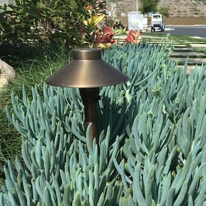 5-Watt T5 Wedge Dimmable 12-Volt Landscape Garden Xenon Halogen Light Bulb Bright White 2700K (144-Pack)