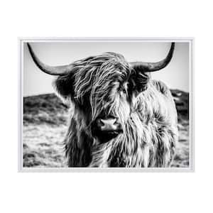 Black and White Highland Cow Framed Canvas Wall Art - 32 in. x 24 in. Size, by Kelly Merkur 1-pc White Frame