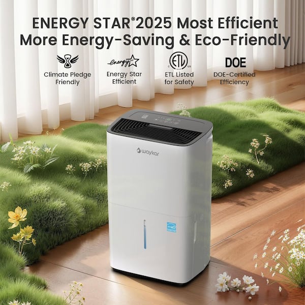 80 pt. 5,000 sq. ft. Energy Star Most Efficient Portable Dehumidifier with Bucket and Drain Hose for Basement in White