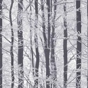 Frosted Wood Silver Paper Strippable Wallpaper (Covers 57.26 sq. ft.)