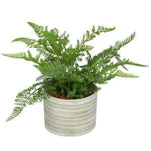 11 in. H Fern Artificial Plant with Realistic Leaves and Patterned Round Pot